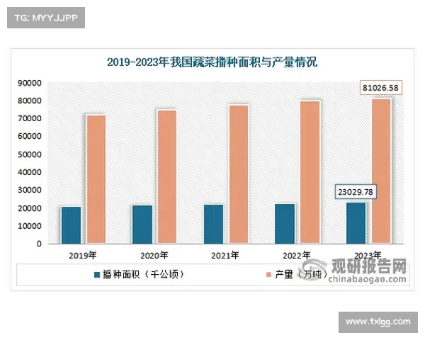 法甲总经理领导下的足球俱乐部发展战略与市场运作分析 法甲总经理领导下的足球俱乐部发展战略与市场运作分析